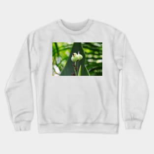 Flower Bud Crewneck Sweatshirt